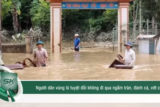 Cảnh báo người dân vùng lũ tuyệt đối không đánh bắt cá đảm bảo tính mạng