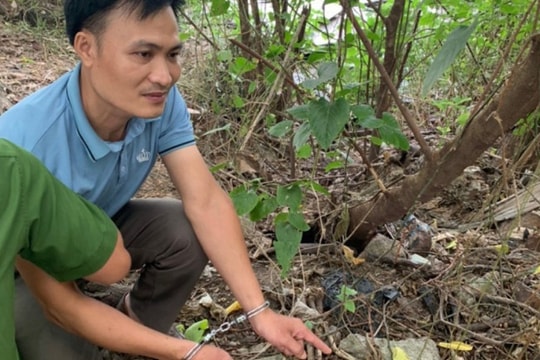 Bi kịch từ mối tình tay ba của bà chủ nhà trọ