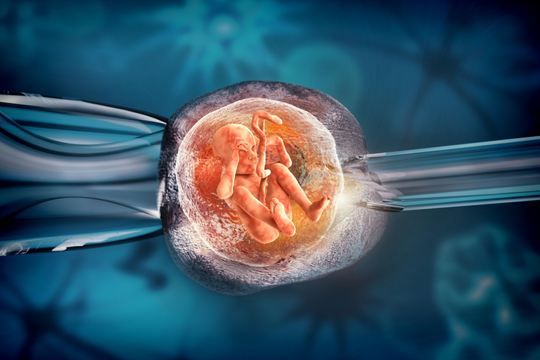 Tìm hiểu về cha đẻ của phương pháp Thụ tinh trong ống nghiệm