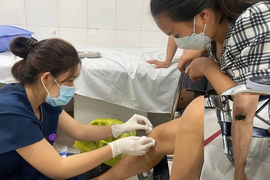 Cảnh báo việc đắp lá cây làm vết thương nhỏ hóa nhiễm trùng