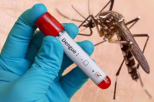 Sốt xuất huyết ở TP.HCM cao gấp 7 lần so với năm 2021