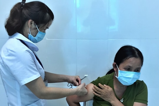 Xem xét miễn phí hoặc hỗ trợ chi phí tiêm vaccine phòng dại cho người nghèo