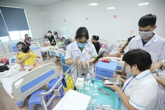 Hà Nội có 171 ổ dịch sốt xuất huyết