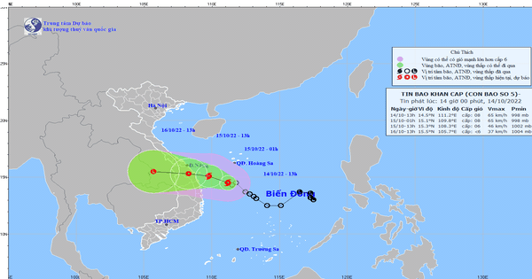 Áp thấp nhiệt đới đã mạnh lên thành bão số 5