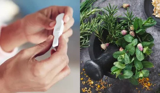 7 loại thảo mộc tăng cường sức khỏe, tốt cho quá trình thụ thai