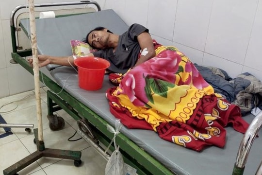 Ăn nhầm trứng cóc, 3 bố con ở Nghệ An phải nhập viện