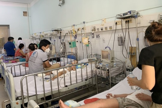 TP. Hồ Chí Minh lập tổ chuyên gia điều trị bệnh sốt xuất huyết