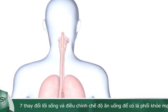 7 thay đổi lối sống và điều chỉnh chế độ ăn uống để có lá phổi khỏe mạnh