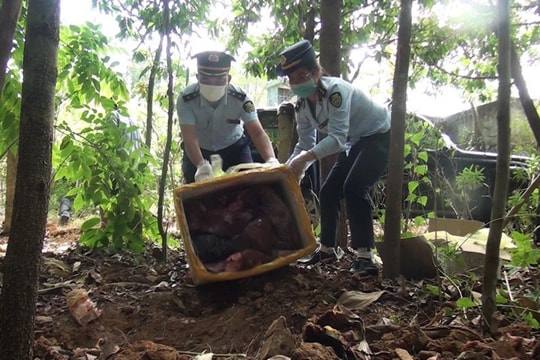 Liên tục bắt giữ, tiêu hủy thực phẩm không đảm bảo chất lượng