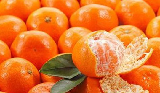 Tự làm 5 vị thuốc nam phòng chữa bệnh thường gặp