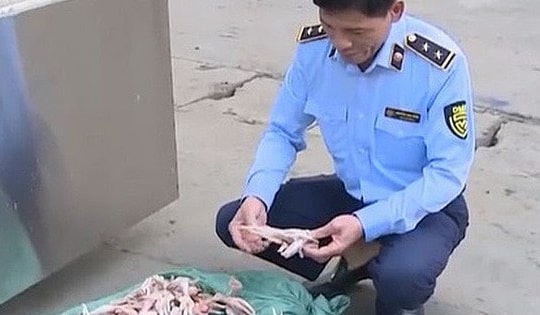 Hơn 3 tấn chân gà đã bốc mùi hôi thối chuẩn bị tuồn ra thị trường