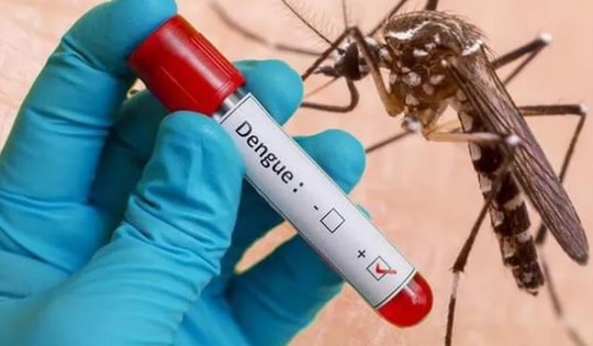 3 món ăn hỗ trợ người bệnh sốt xuất huyết phục hồi tốt