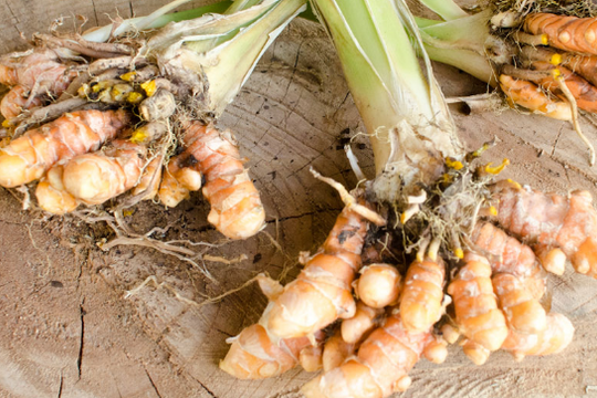 4 loại thảo mộc tốt cho trí não, ngăn ngừa suy nhược thần kinh