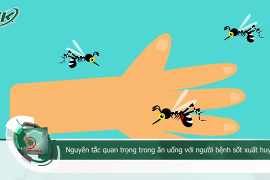 Nguyên tắc quan trọng trong ăn uống với người bệnh sốt xuất huyết