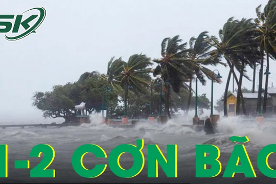 1-2 cơn bão ảnh hưởng nước ta cuối tháng 11/2022, miền Trung mưa lớn dồn dập