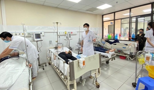 Hòa Bình: Hàng loạt người bị ong tấn công, 4 người nhiễm độc nặng