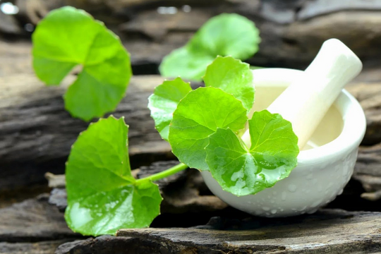 Lợi ích tuyệt vời của rau má trong chăm sóc, làm đẹp da