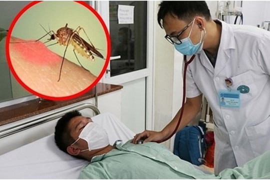 Hà Nội: Dịch sốt xuất huyết bước vào giai đoạn cao điểm, thêm 83 ổ dịch mới 