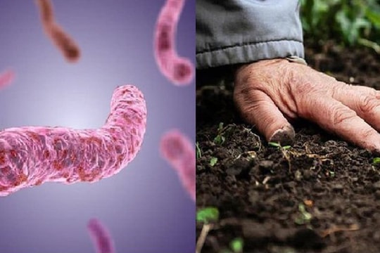 Liên tiếp ghi nhận các ca mắc và tử vong do nhiễm khuẩn Whitmore, cần làm gì để phòng bệnh?