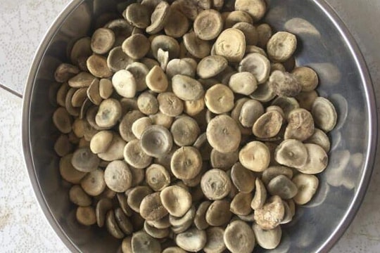 Sơn La: Cảnh báo bị ngộ độc khi uống rượu ngâm hạt mã tiền