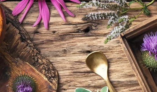 9 loại thảo mộc giúp kích thích mọc tóc