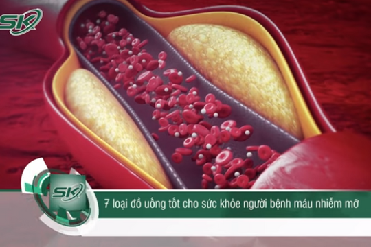 7 loại đồ uống tốt cho người bệnh máu nhiễm mỡ