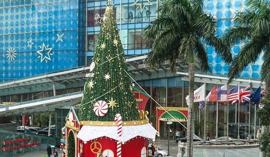 Hà Nội xuất hiện nhiều cây thông khổng lồ trước Giáng sinh