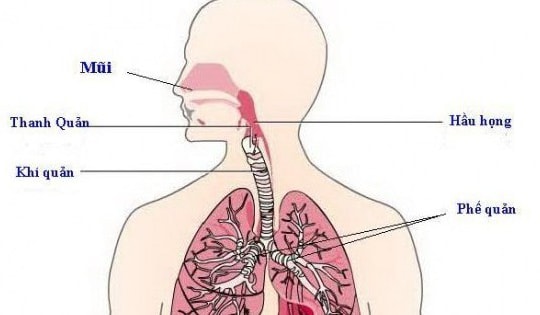 Cách hạn chế viêm đường hô hấp trên khi thời tiết lạnh