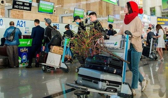 Bổ sung thêm hàng trăm nghìn vé máy bay dịp Tết Nguyên đán Quý Mão 2023