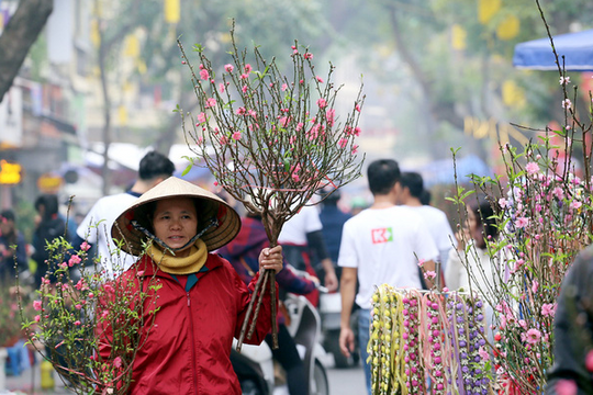 Hà Nội sẽ tổ chức 91 điểm chợ hoa phục vụ Tết Nguyên đán Quý Mão 2023
