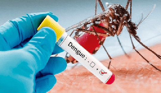 Cả nước đã ghi nhận hơn 354.200 ca mắc sốt xuất huyết, 133 trường hợp tử vong
