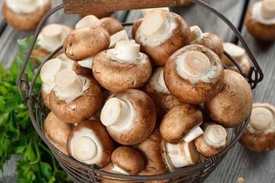 Nấm hương tốt cho người mỡ máu và tăng huyết áp