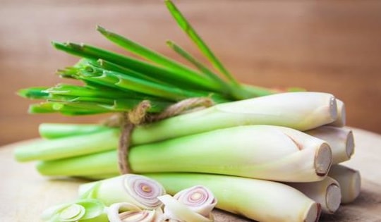 Món ăn, bài thuốc chữa bệnh từ cây sả dễ thực hiện