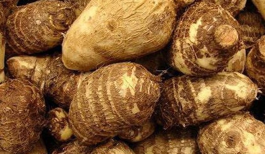 Khoai sọ, món ăn bổ tỳ vị