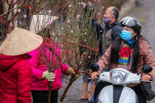 Thời tiết Tết Nguyên đán 2023 có khả năng không quá rét, chủ yếu lạnh về đêm
