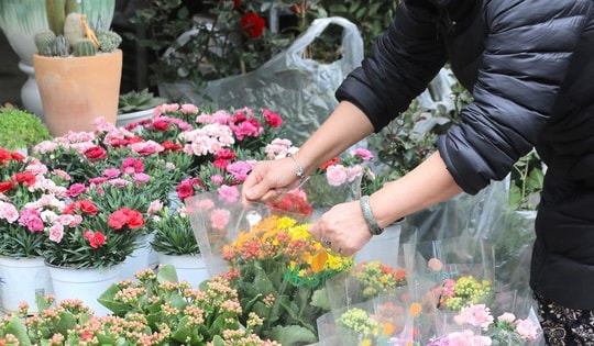 Chợ hoa Vạn Phúc nhộn nhịp ngày cận Tết Nguyên đán 2023