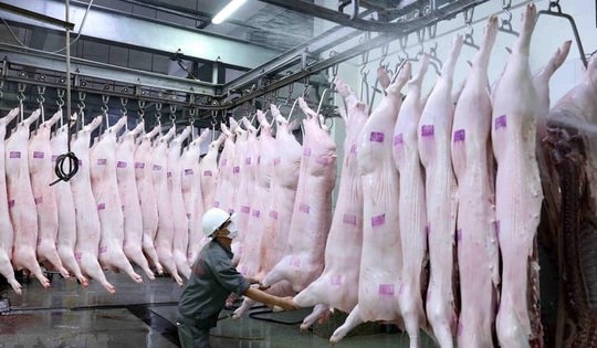 Thủ tướng yêu cầu giám sát, phát hiện sớm trường hợp nhiễm, nghi nhiễm bệnh lây từ động vật sang người