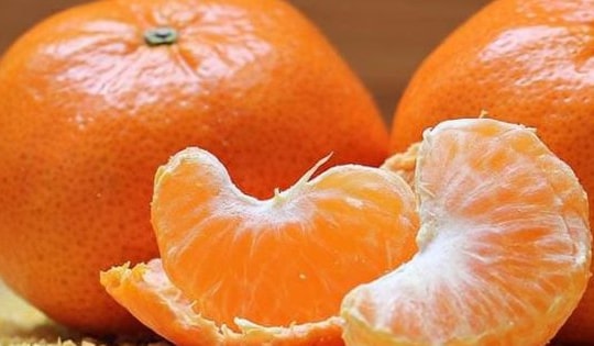 Quýt không chỉ bổ dưỡng mà còn là vị thuốc quý