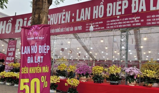 Ngày 29 Tết, Lan Hồ Điệp sale tới 50% vẫn vắng khách