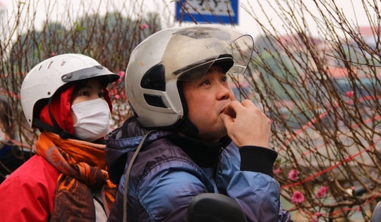 Những cành đào 'mua vội' chiều 29 Tết