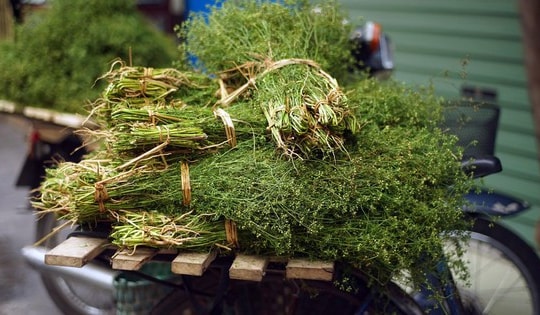 Vì sao lại thường tắm lá mùi vào chiều 30 Tết?