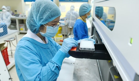 Bộ Y tế nói gì về kiến nghị "nuôi cấy virus SARS-CoV-2 trong phòng xét nghiệm an toàn sinh học của TP.HCM"?