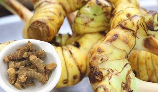 10 bài thuốc trị bệnh từ củ riềng