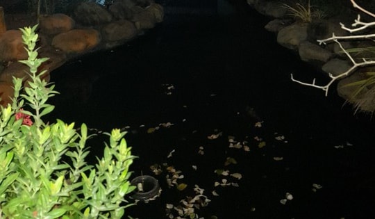 Hai cháu bé đuối nước tử vong thương tâm trong hồ cá cảnh