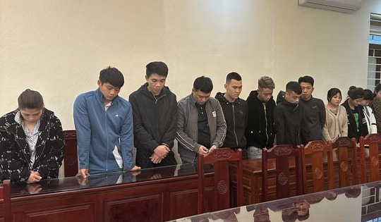 Tổ chức "tiệc" ma túy mừng sinh nhật em trai