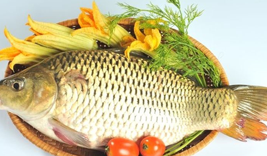 Cá chép hỗ trợ điều trị phù thũng khi mang thai