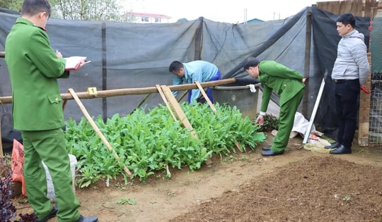 Bí mật trồng hơn 1.300 cây thuốc phiện trong vườn nhà