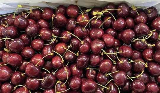 Quả cherry giàu dinh dưỡng vốn đắt đỏ thường nhà giàu hay mua rớt giá mạnh