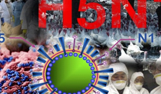 Sáng 27/2: Đã 58 ngày Việt Nam không có ca tử vong do COVID-19; UBND TP HCM chỉ đạo khẩn ngăn nguy cơ lây lan cúm A (H5N1).