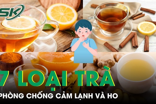 7 công thức trà thảo mộc tăng cường miễn dịch
